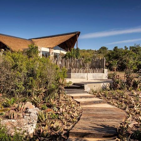 Lalibela Game Reserve - Kichaka Lodge Paterson Exterior foto