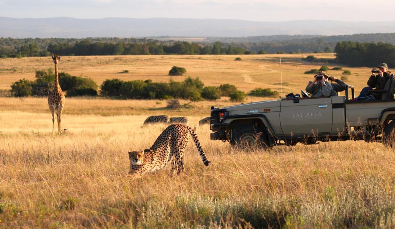 Lalibela Game Reserve - Kichaka Lodge Paterson Exterior foto
